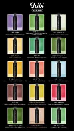 【FEIBI 菲比正品】8000口一次性 | 飽滿霧化 ‧ 持久回甘