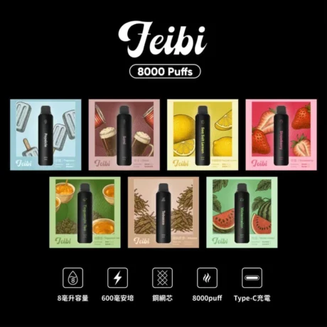 【FEIBI 菲比正品】8000口一次性 | 飽滿霧化 ‧ 持久回甘