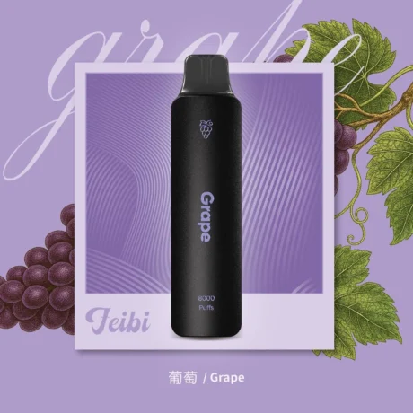 【FEIBI 菲比正品】8000口一次性 | 飽滿霧化 ‧ 持久回甘